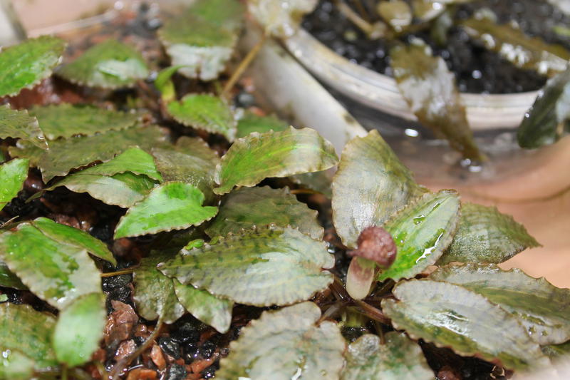  Начать новую тему