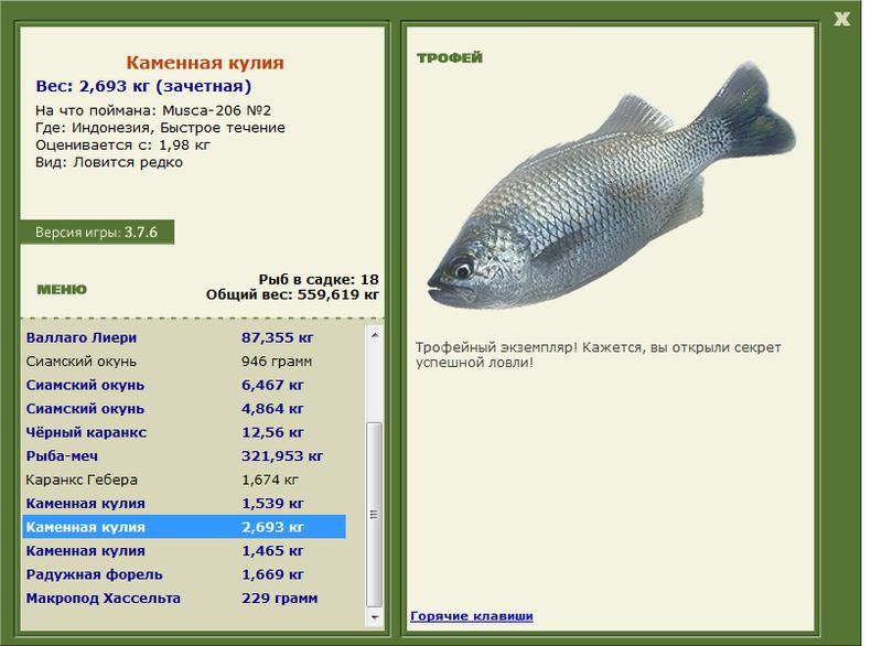 Каменная кулия 