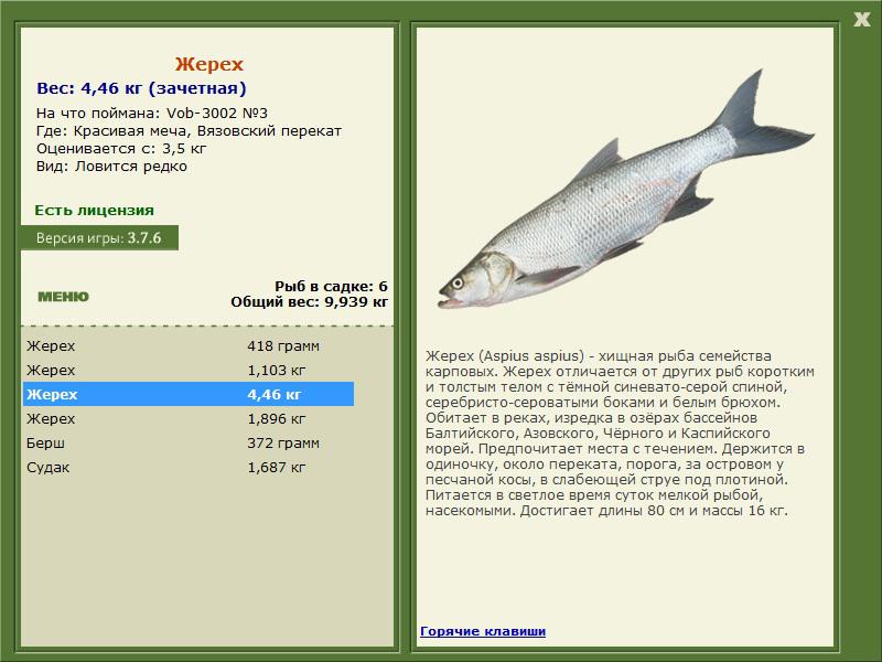 Вязовский перекат 