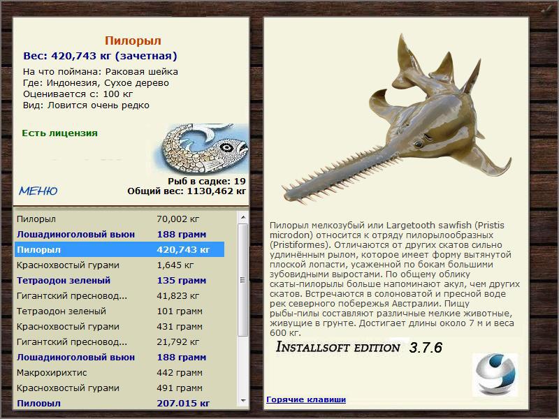 Сухое дерево 