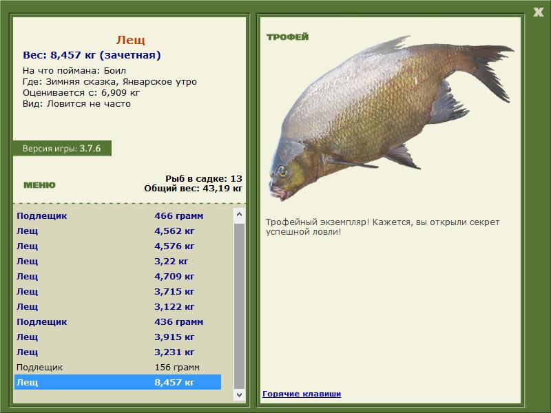 Январское утро 