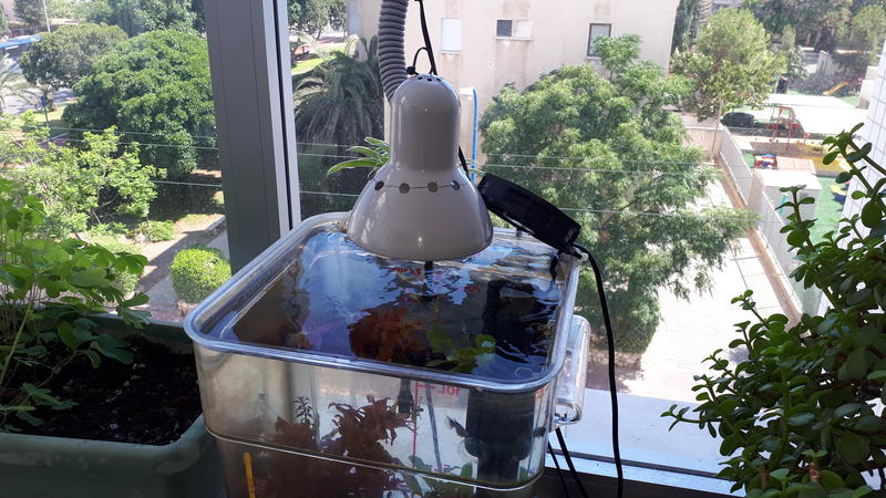  Редактировать сообщение