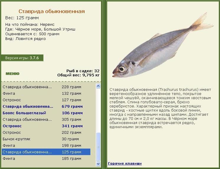 Большой Утриш 