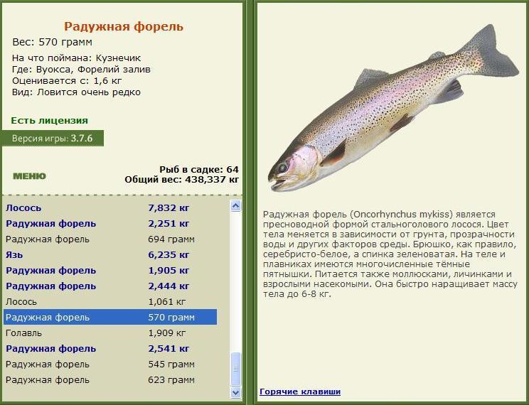 Форелий залив 