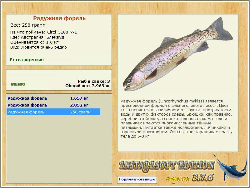 Блэквуд 