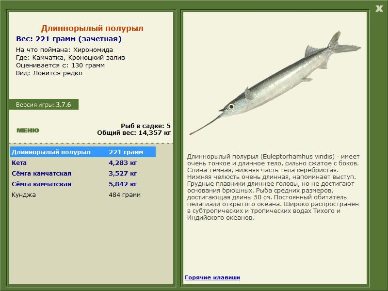 Кроноцкий залив 