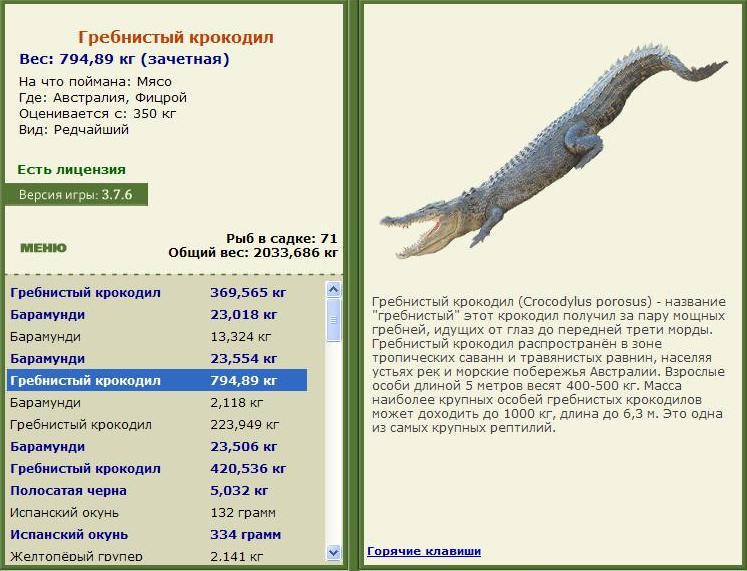 Фицрой 