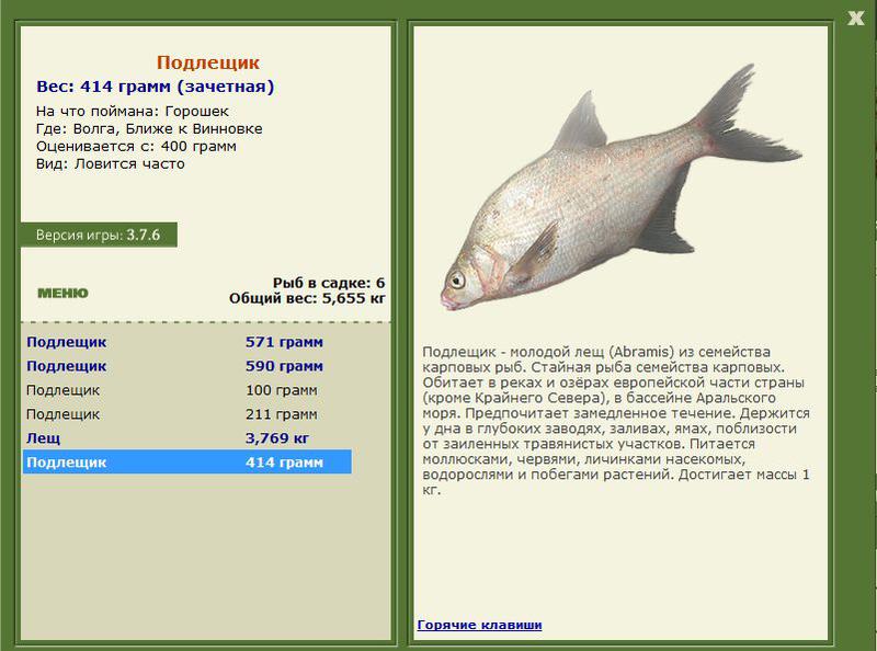 РУССКАЯ РЫБАЛКА Installsoft Edition 