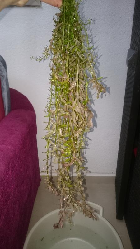  Начать новую тему