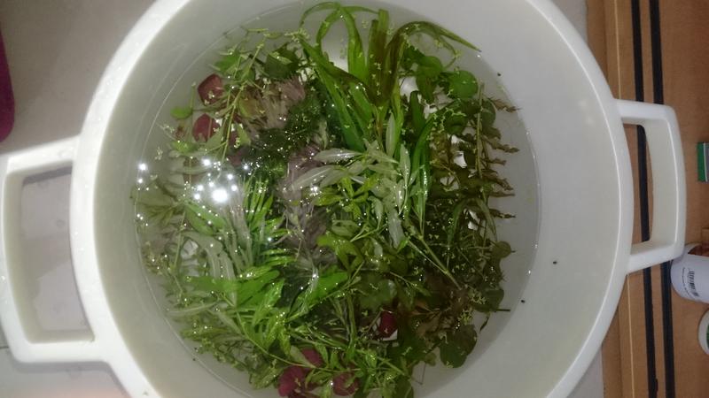  Начать новую тему