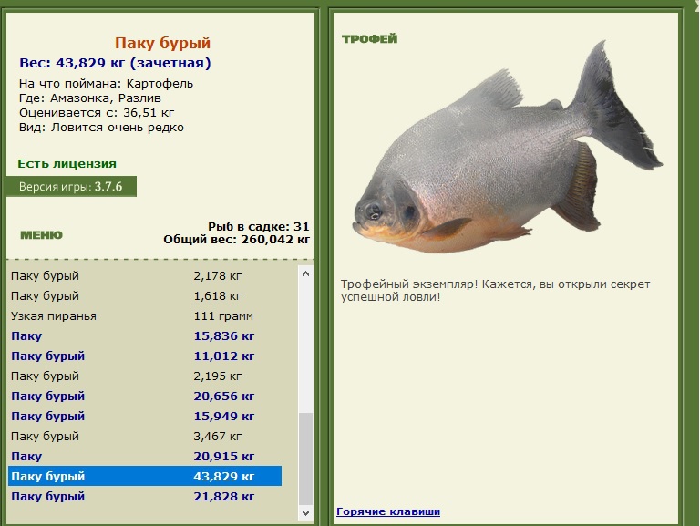 Разлив 
