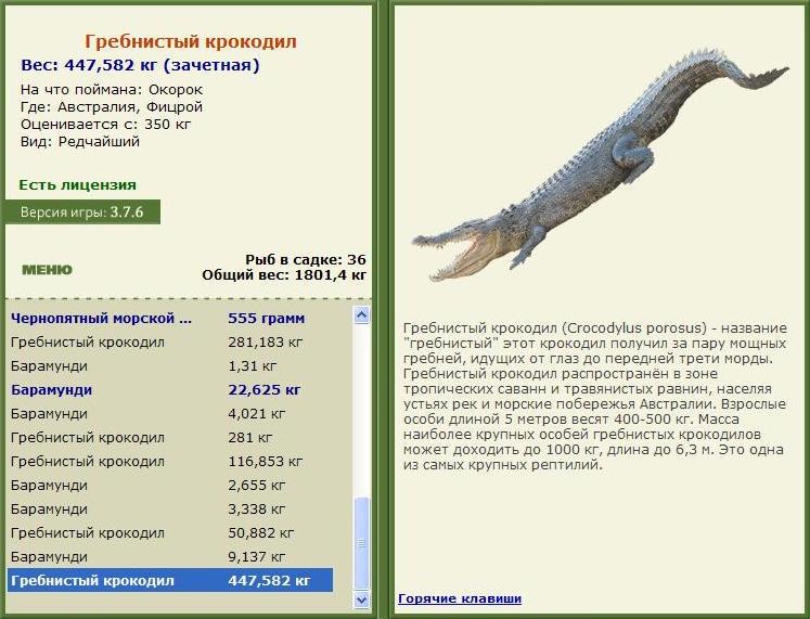 Фицрой 