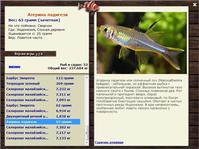 Сверчок 