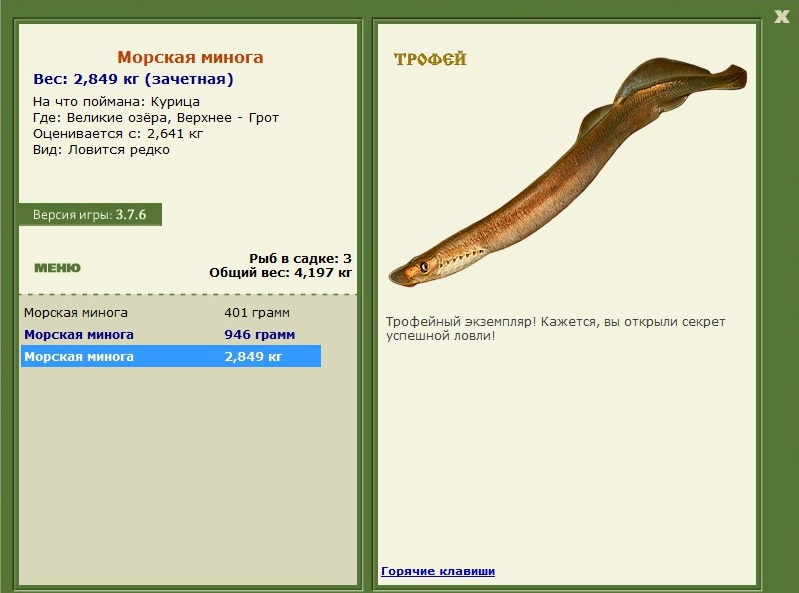 Морская минога 