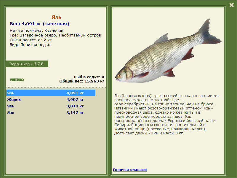 Необитаемый остров 