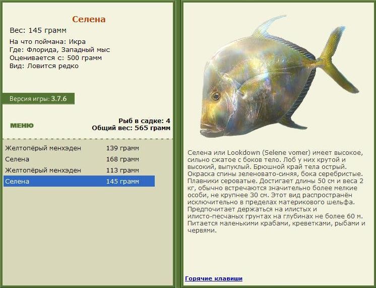 Западный мыс 