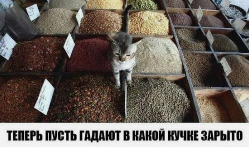 ЮМОР 