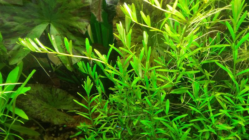  Начать новую тему