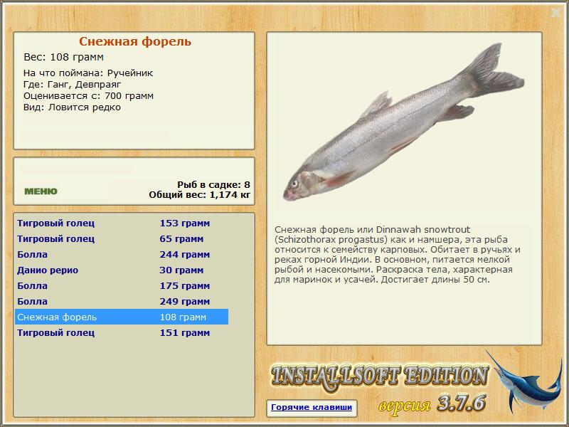 Девпраяг 