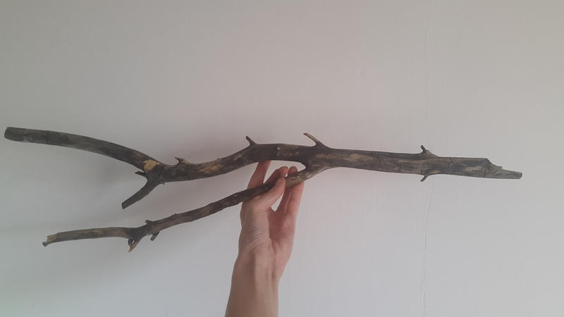  Начать новую тему