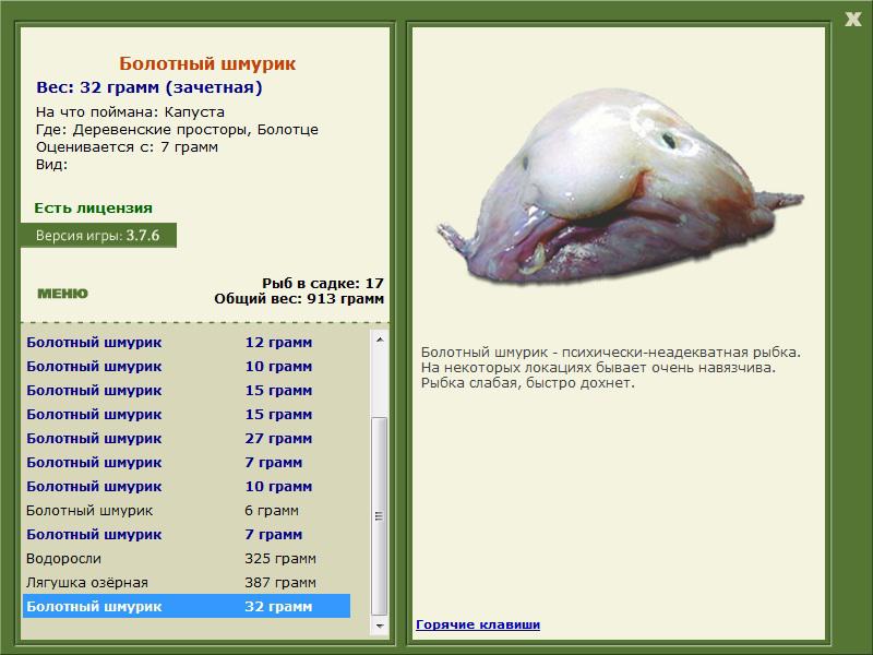 Болотце 