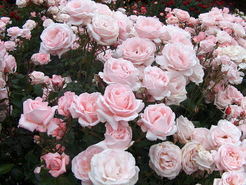  Страница 101 - Форум \\