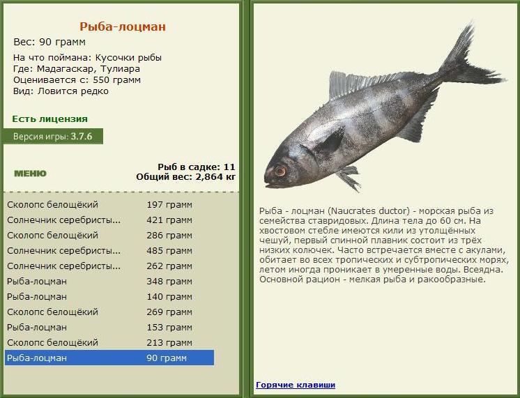 РУССКАЯ РЫБАЛКА Installsoft Edition 
