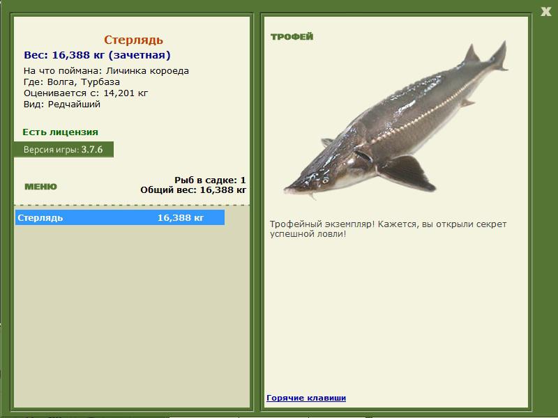 Турбаза 