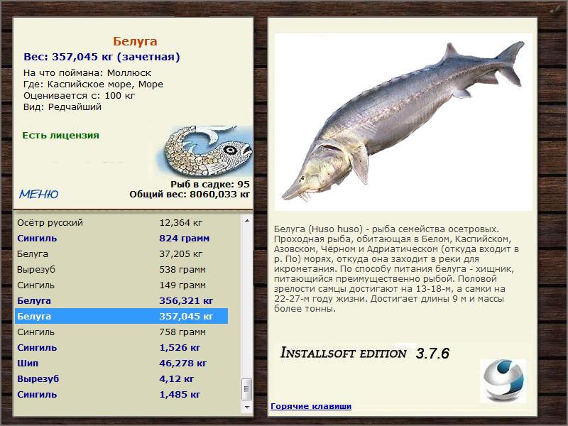 Море 