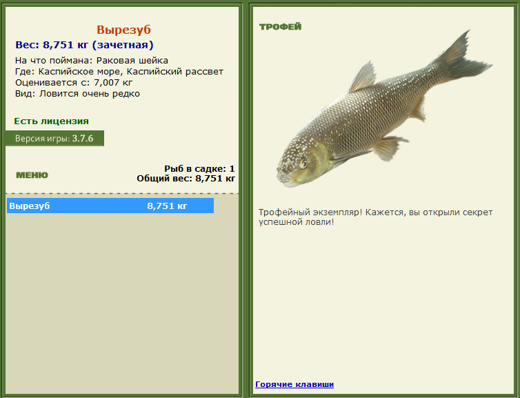 Каспийский рассвет 