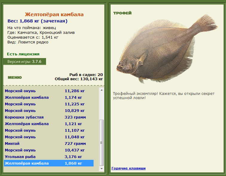 Живец 