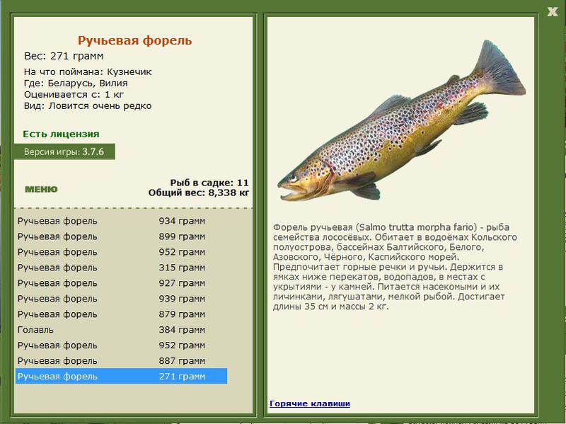 РУССКАЯ РЫБАЛКА Installsoft Edition 