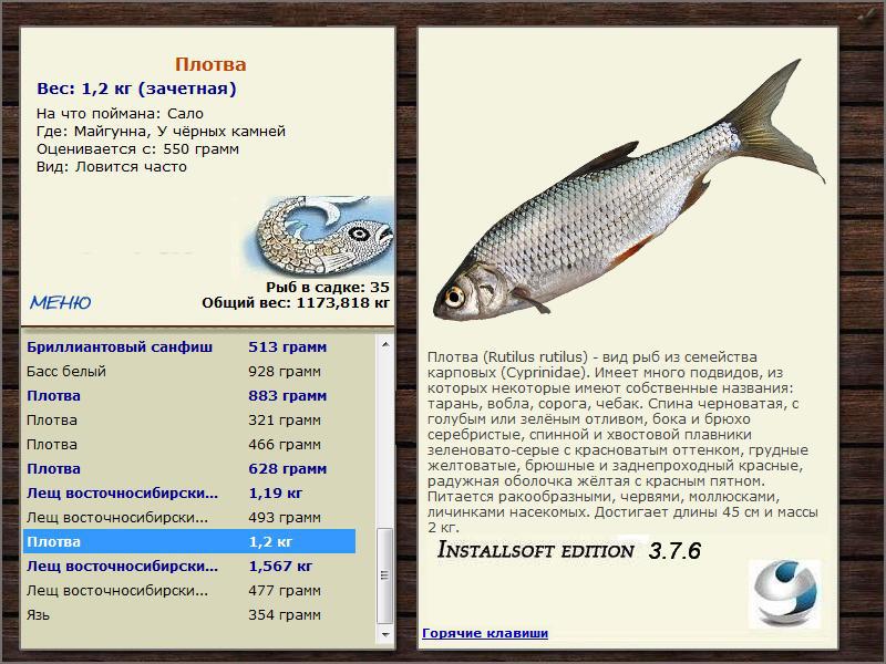 У чёрных камней 