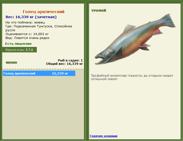 турниры • РУССКАЯ РЫБАЛКА