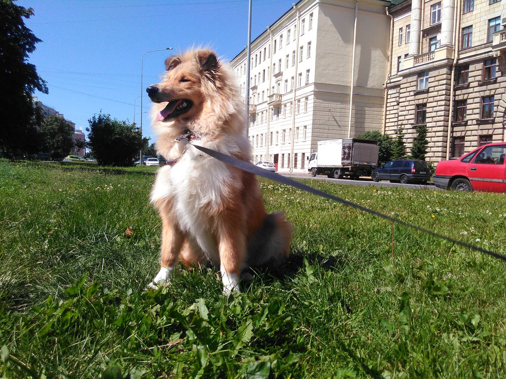 Изображение
