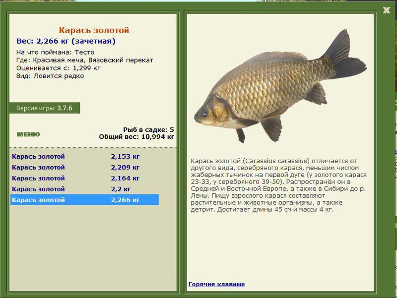 РУССКАЯ РЫБАЛКА Installsoft Edition 