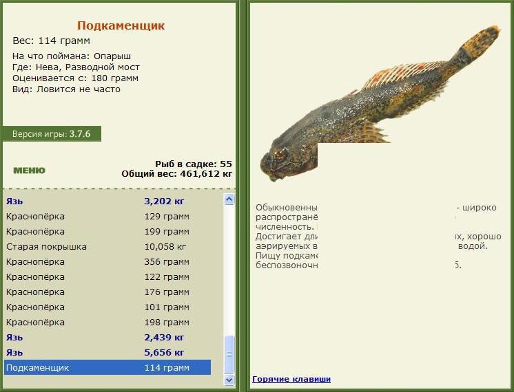 турниры • РУССКАЯ РЫБАЛКА