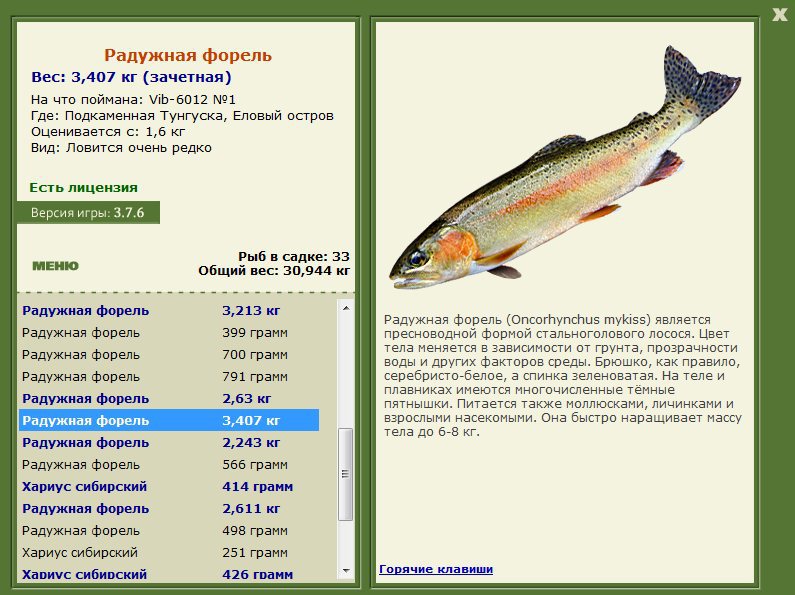 Еловый остров 