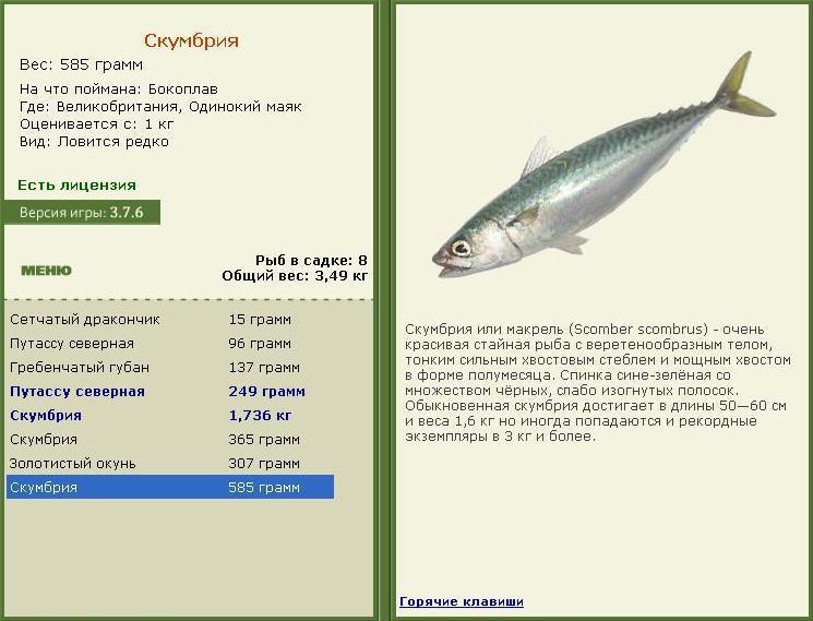 Одинокий маяк 