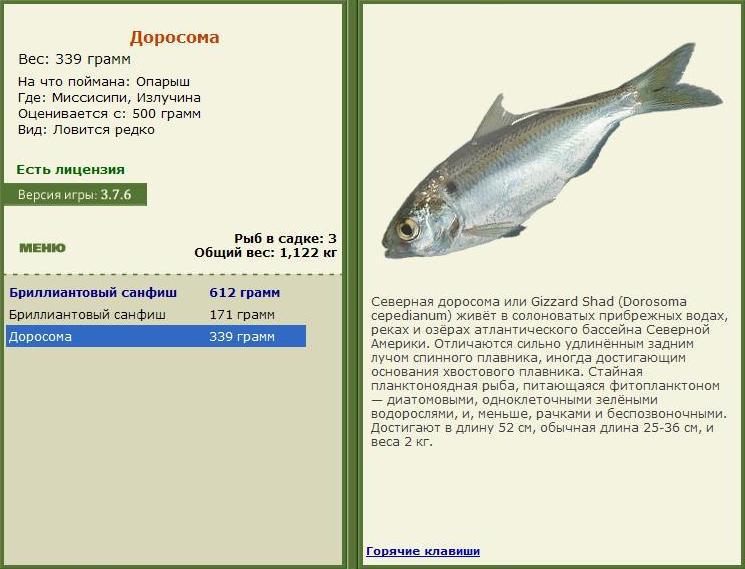 Излучина 