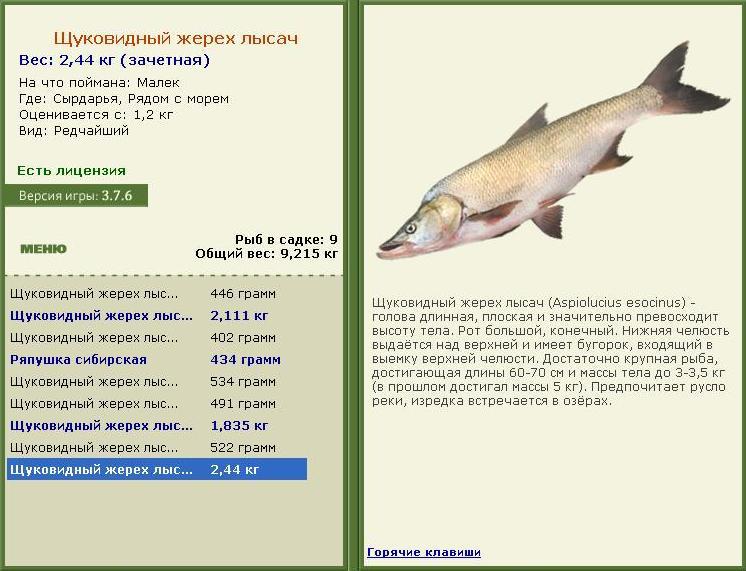 Рядом с морем 