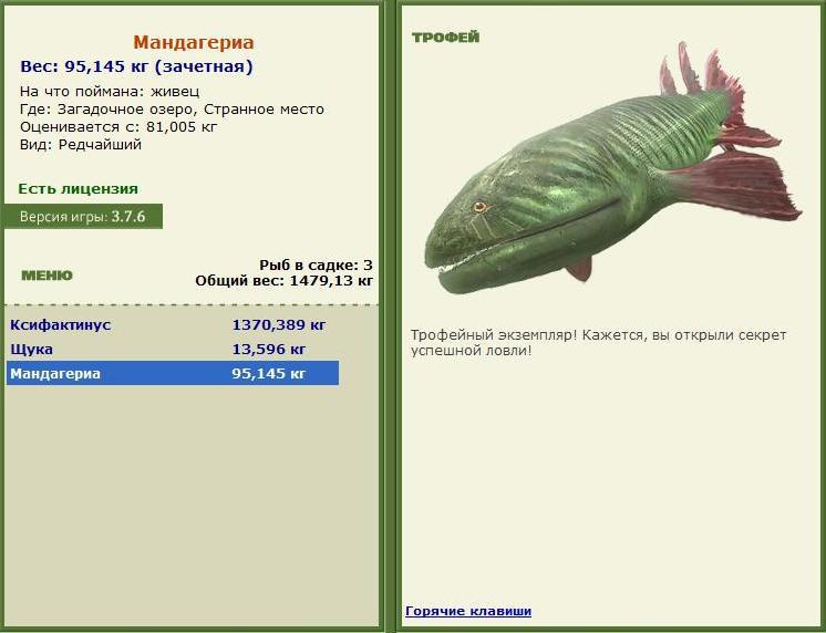 Мандагериа 