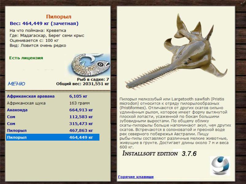Берег семи крыс 