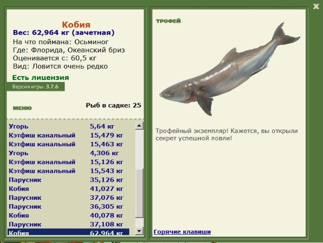 Осьминог 