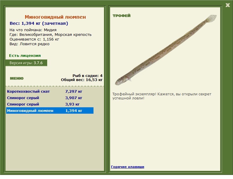 Миноговидный люмпен 