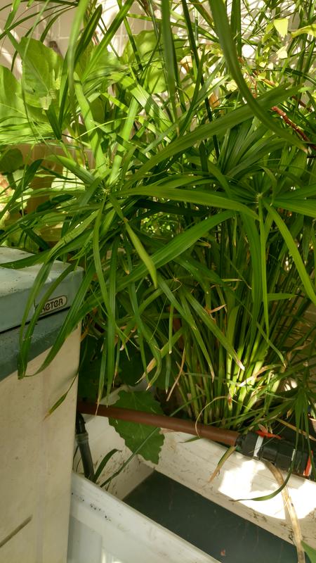  Редактировать сообщение