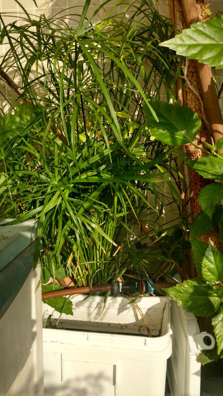  Редактировать сообщение