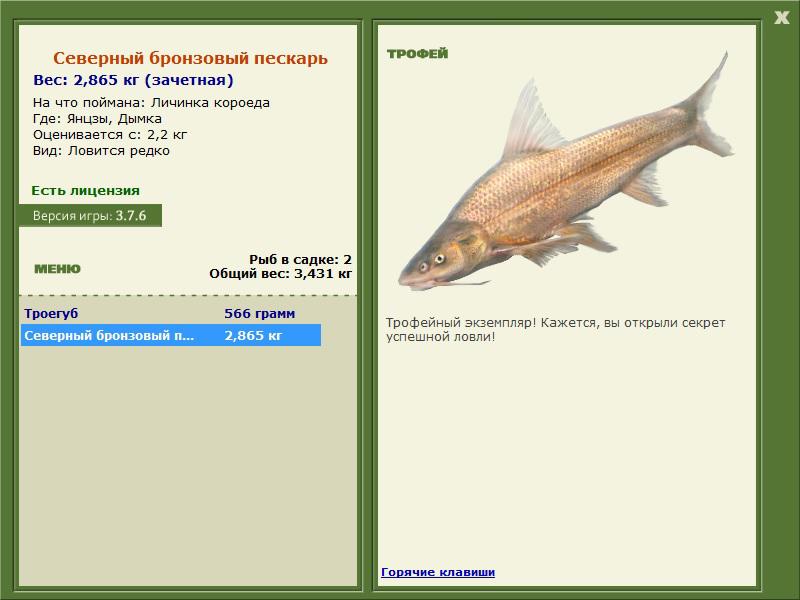 Дымка 
