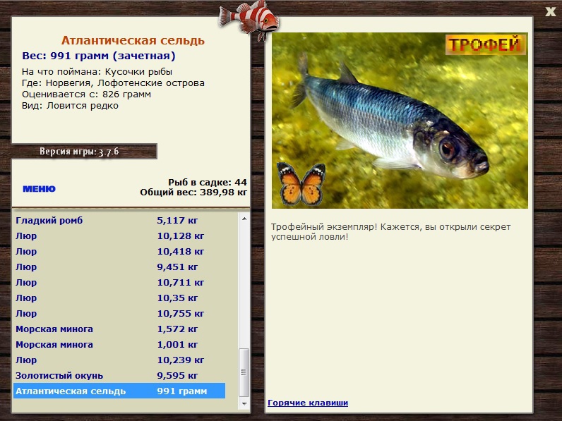 Кусочки рыбы 