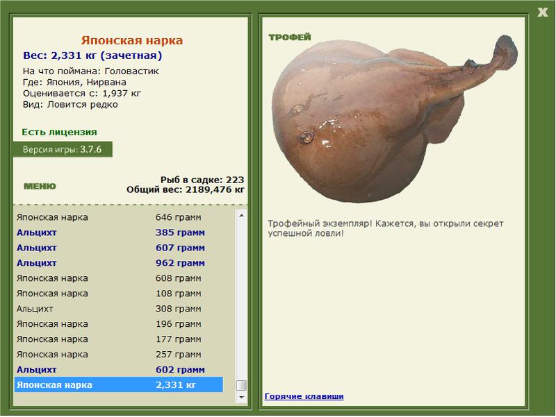 Нирвана 
